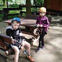 PARK LINOWY (32)